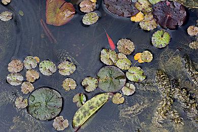 《Light From Above》PC试玩发布 爽快2D动作新游